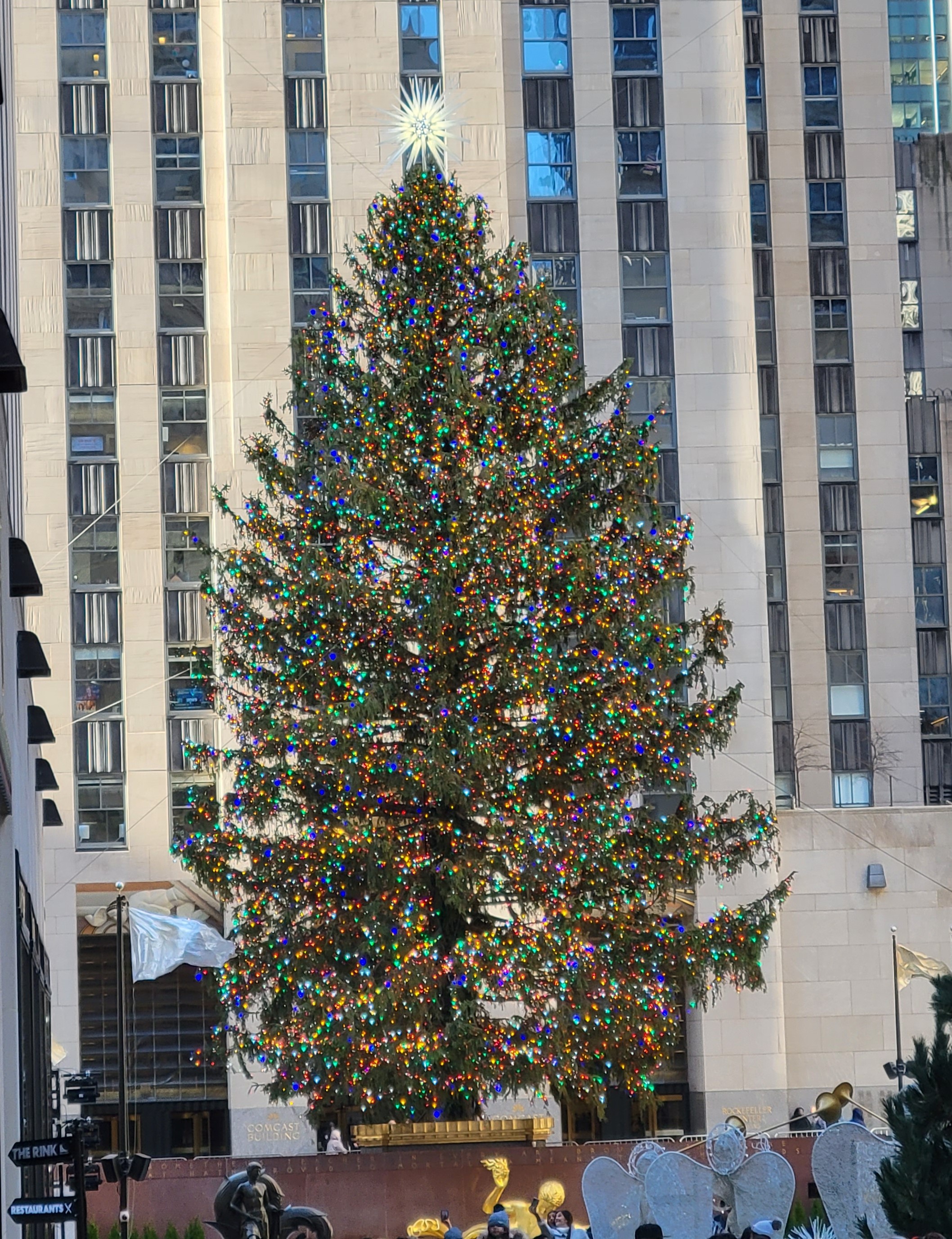 The Rockefeller Center Christmas Tree in 2022.