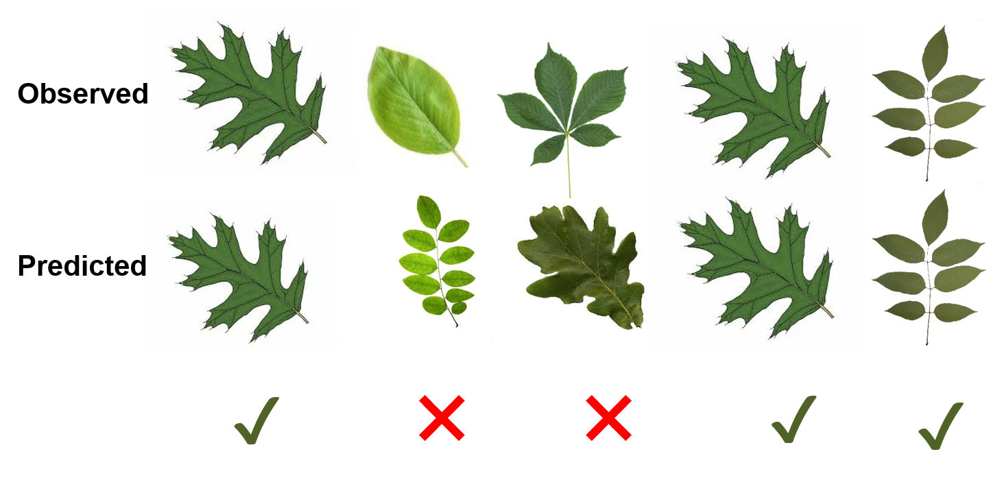 Five example trees, with predictions.
