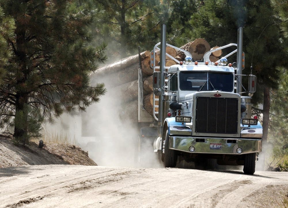 Log truck (photo: Darin Oswald)